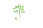 Rainforest Coffee Co. - Home of Pure Organic Shadegrown Coffee 